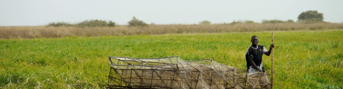 Fotografie: Inner-Niger Delta-fishermann. Bron: Wetlands International (Jane Madgwick)