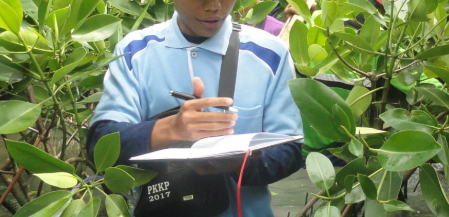 Bron: Wetlands International