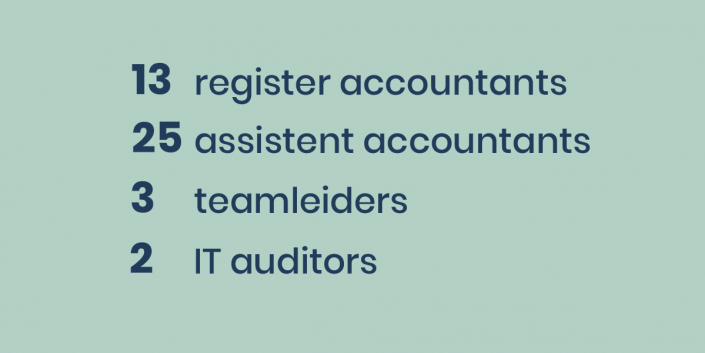 Verdeling medewerkers per functietitel.